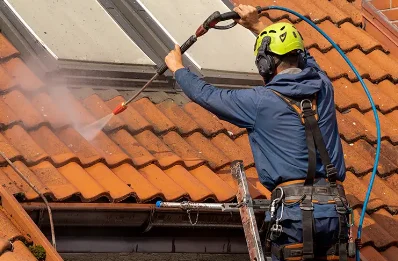 Démoussage et hydrofuge de toiture à Trédion